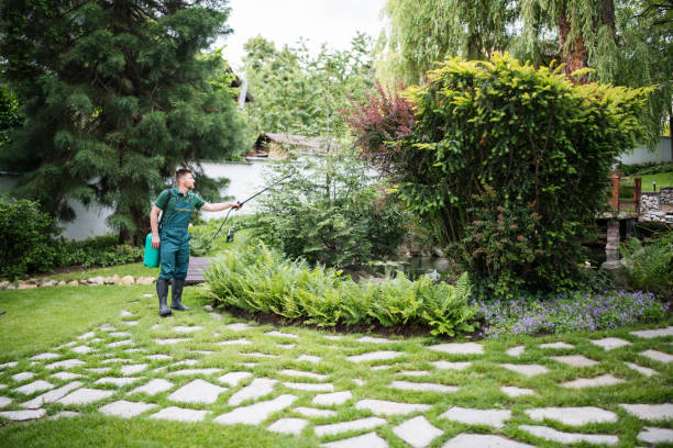 Best Stump Grinding and Removal  in Coeburn, VA