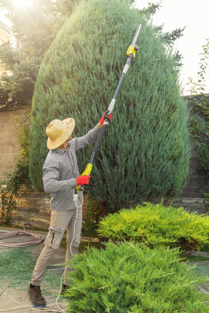 Best Lawn Watering Services  in Coeburn, VA